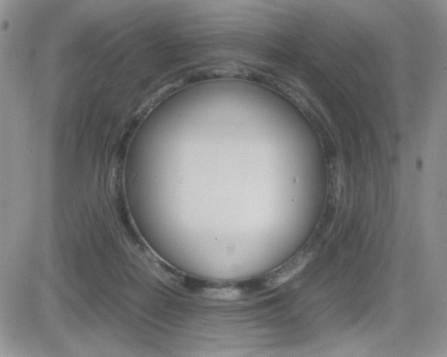 X0000082740266200701261038