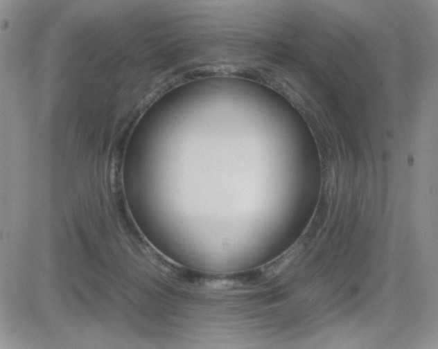 X0000082740268200701261038