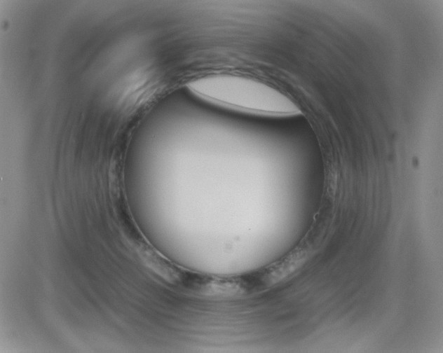 X0000082740270200701261038