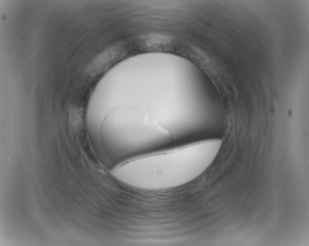 X0000082740278200701261038