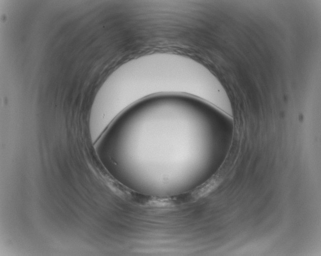 X0000082740280200701261038