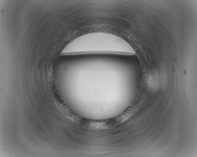 X0000082740283200701261038