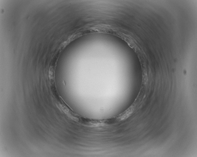 X0000082740284200701261038