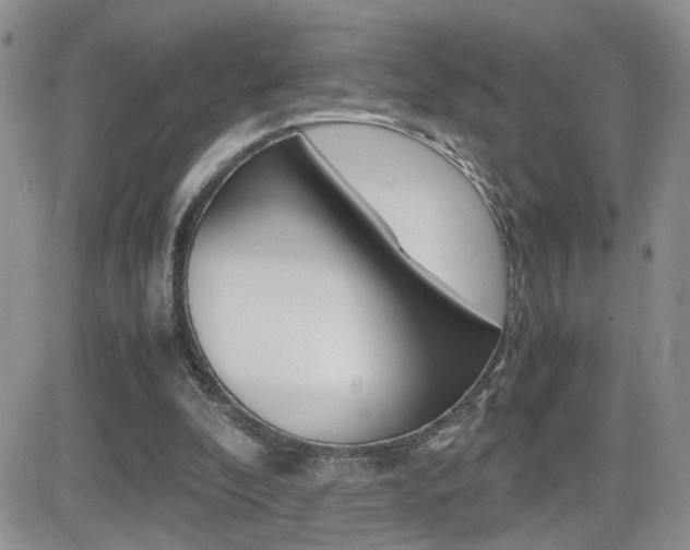 X0000082740296200701261037