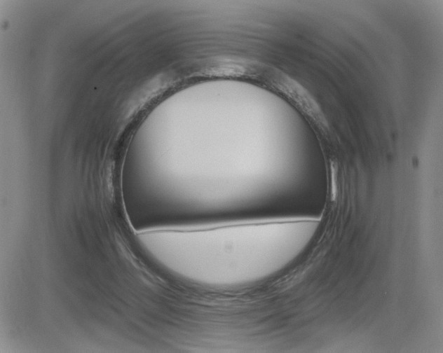 X0000082740300200701261037