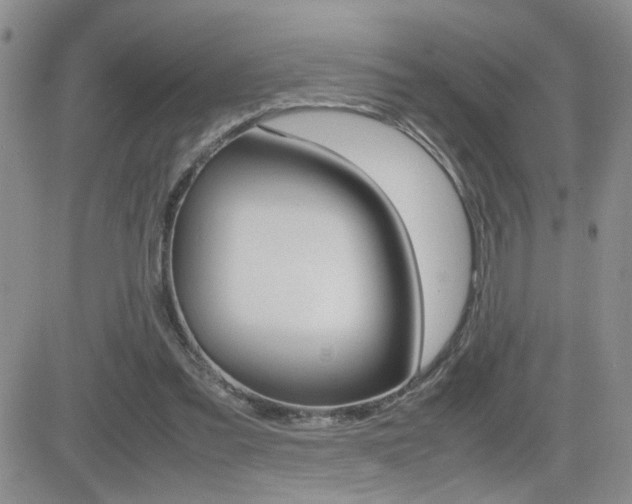 X0000082740301200701261037