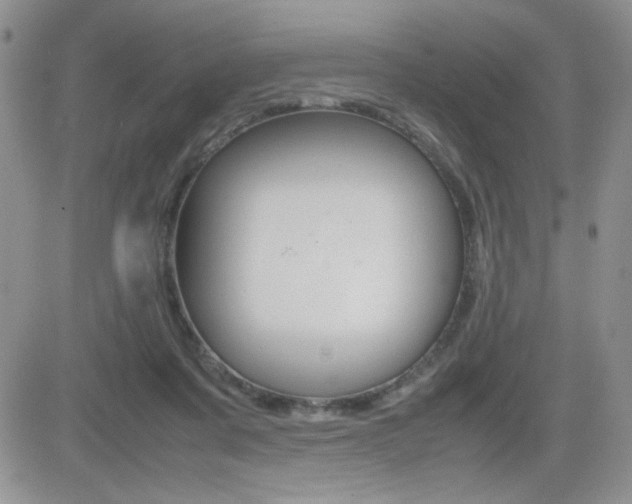X0000082740311200701261037