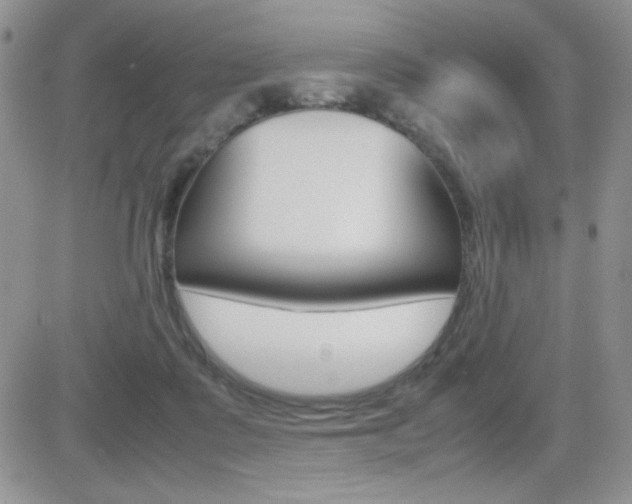 X0000082740315200701261037