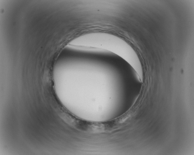 X0000082740317200701261037