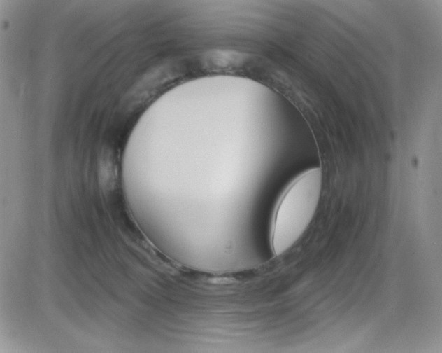 X0000082740324200701261037