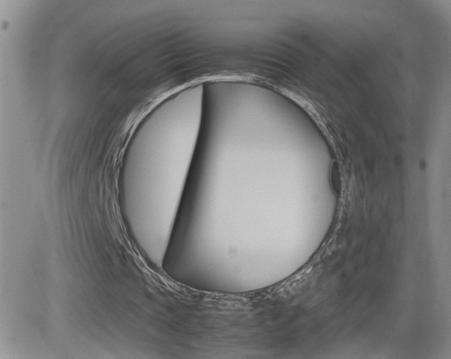 X0000082740337200701261036