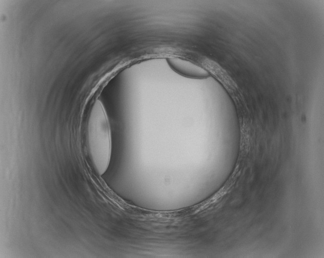 X0000082740338200701261036