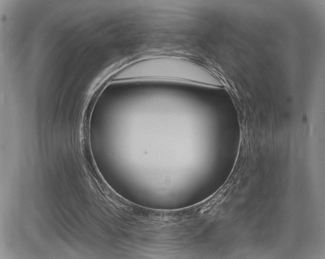 X0000082740340200701261036