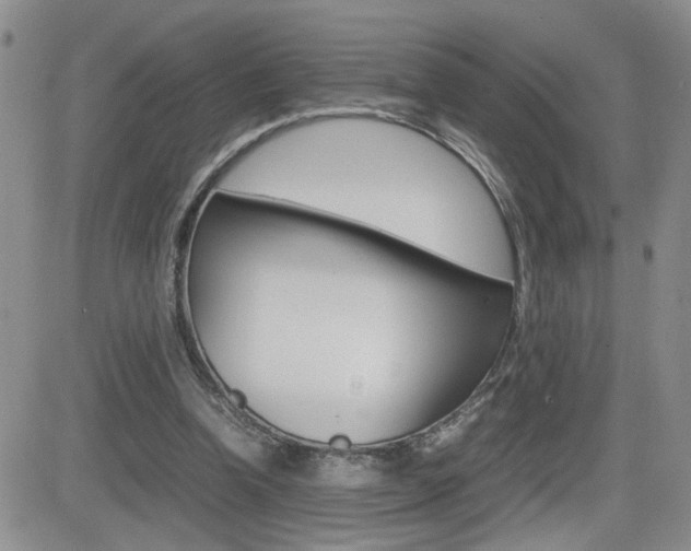 X0000082740346200701261036