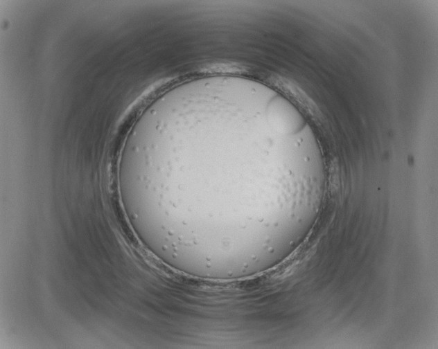 X0000082740351200701261036
