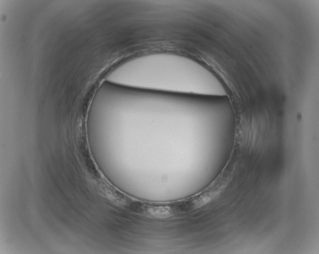 X0000082740355200701261036