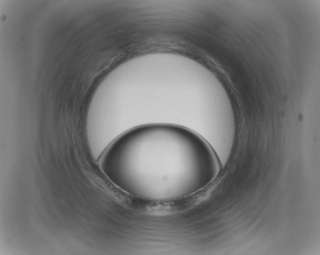 X0000082740362200701261036