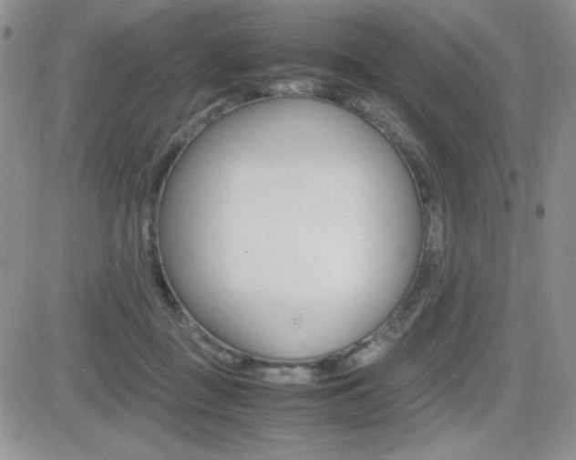 X0000082740363200701261036