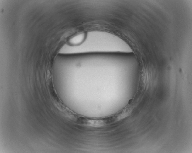 X0000082740371200701261036