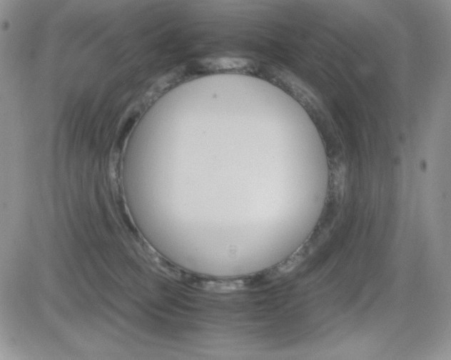 X0000082740373200701261036