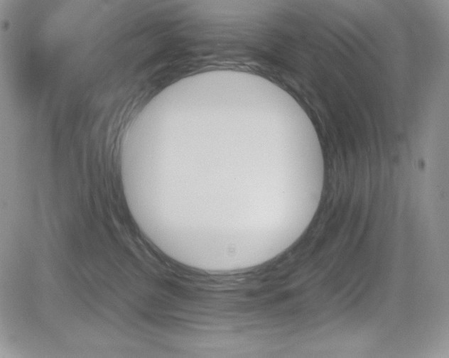 X0000082740380200701261037
