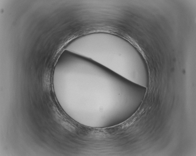 X0000082740386200701261036