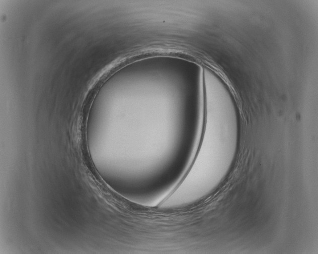 X0000082740387200701261036