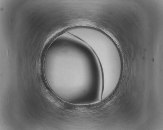 X0000082740391200701261036