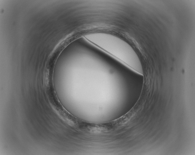 X0000082740400200701261036