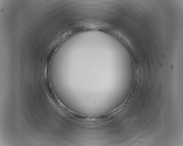 X0000082740406200701261036