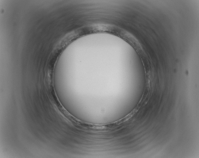 X0000082740410200701261035