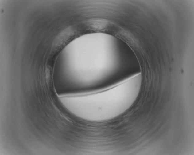 X0000082740412200701261035