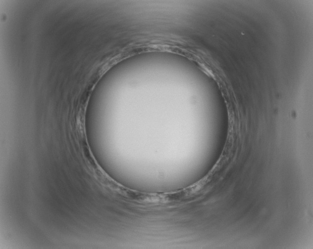 X0000082740415200701261035