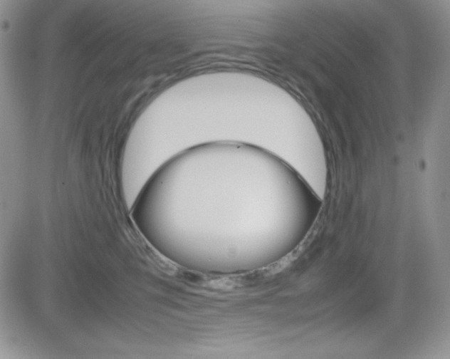 X0000082740423200701261035