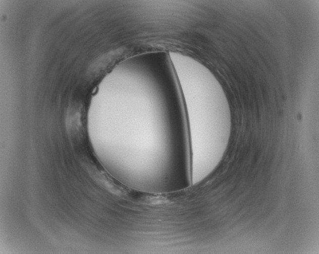 X0000082740424200701261035