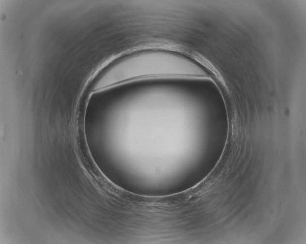 X0000082740436200701261034