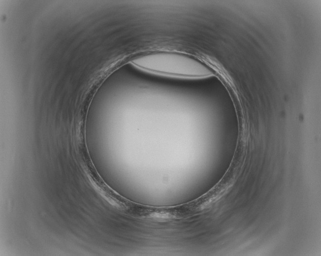 X0000082740441200701261034