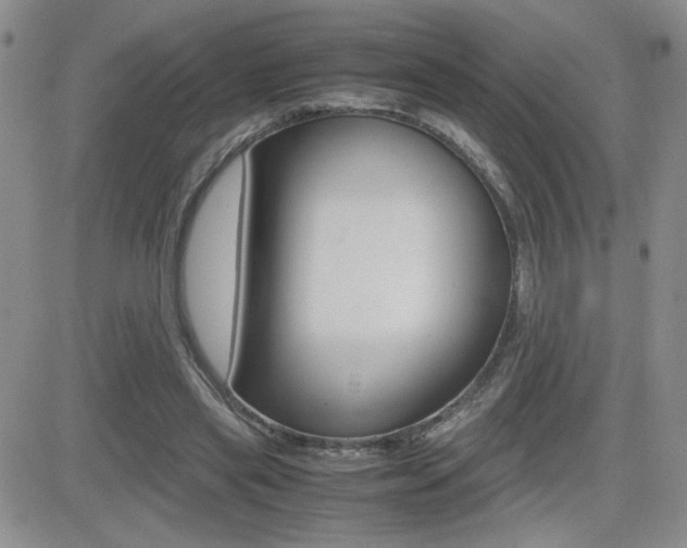 X0000082740445200701261035