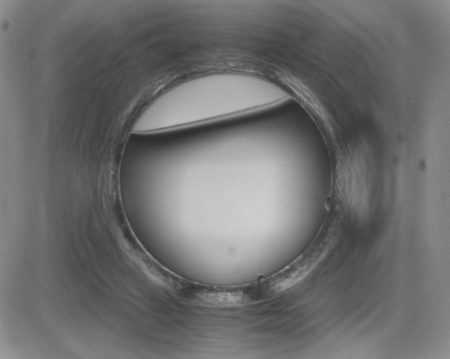 X0000082740449200701261035