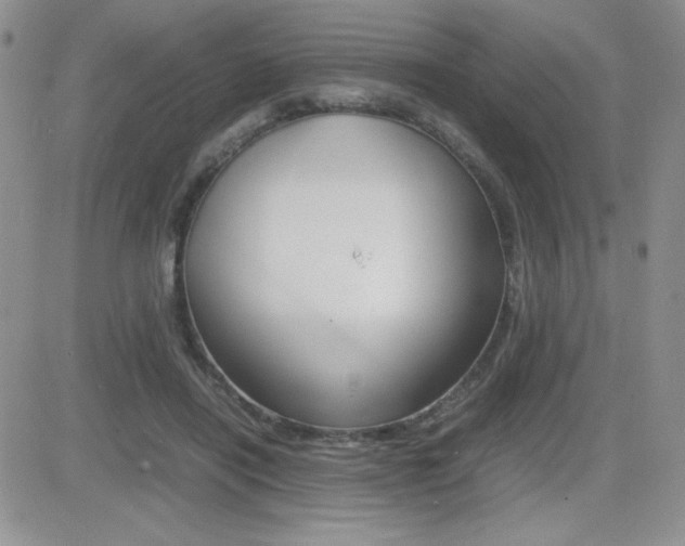 X0000082740454200701261035
