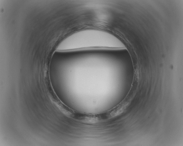 X0000082740458200701261035
