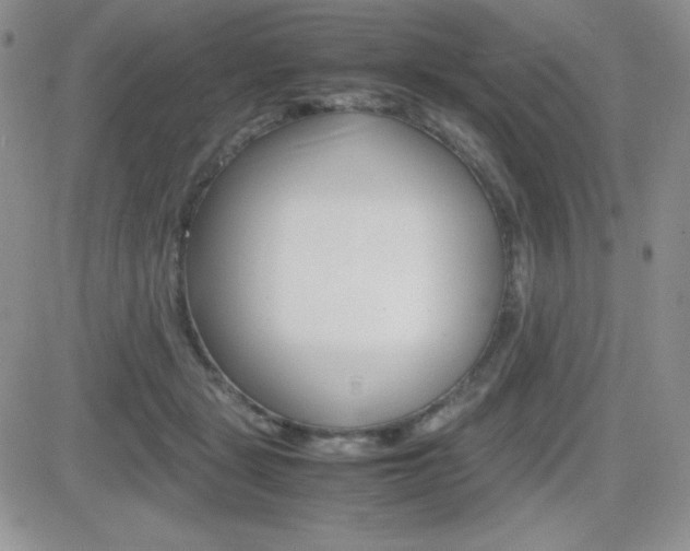 X0000082740461200701261035