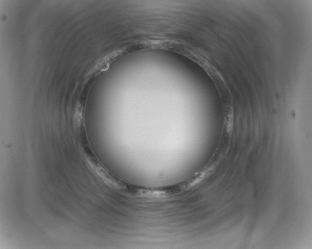 X0000082740476200701261035