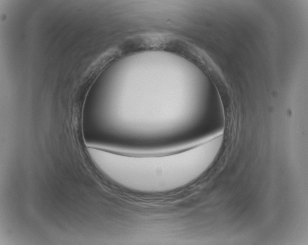 X0000082740505200701261034