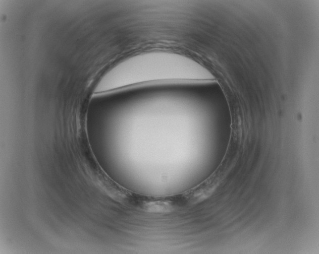 X0000082740508200701261034