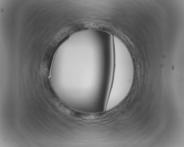 X0000082740513200701261034