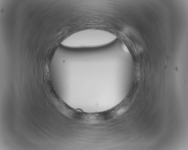 X0000082740523200701261034
