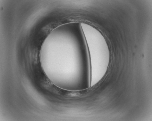 X0000082740525200701261034