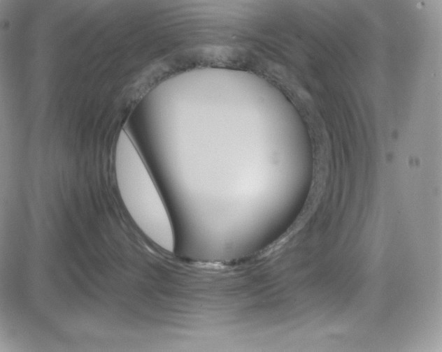 X0000082740528200701261034