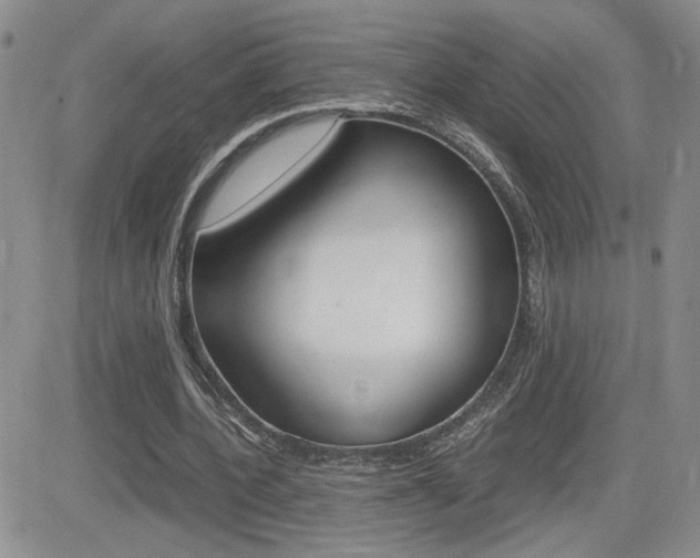 X0000082740532200701261033